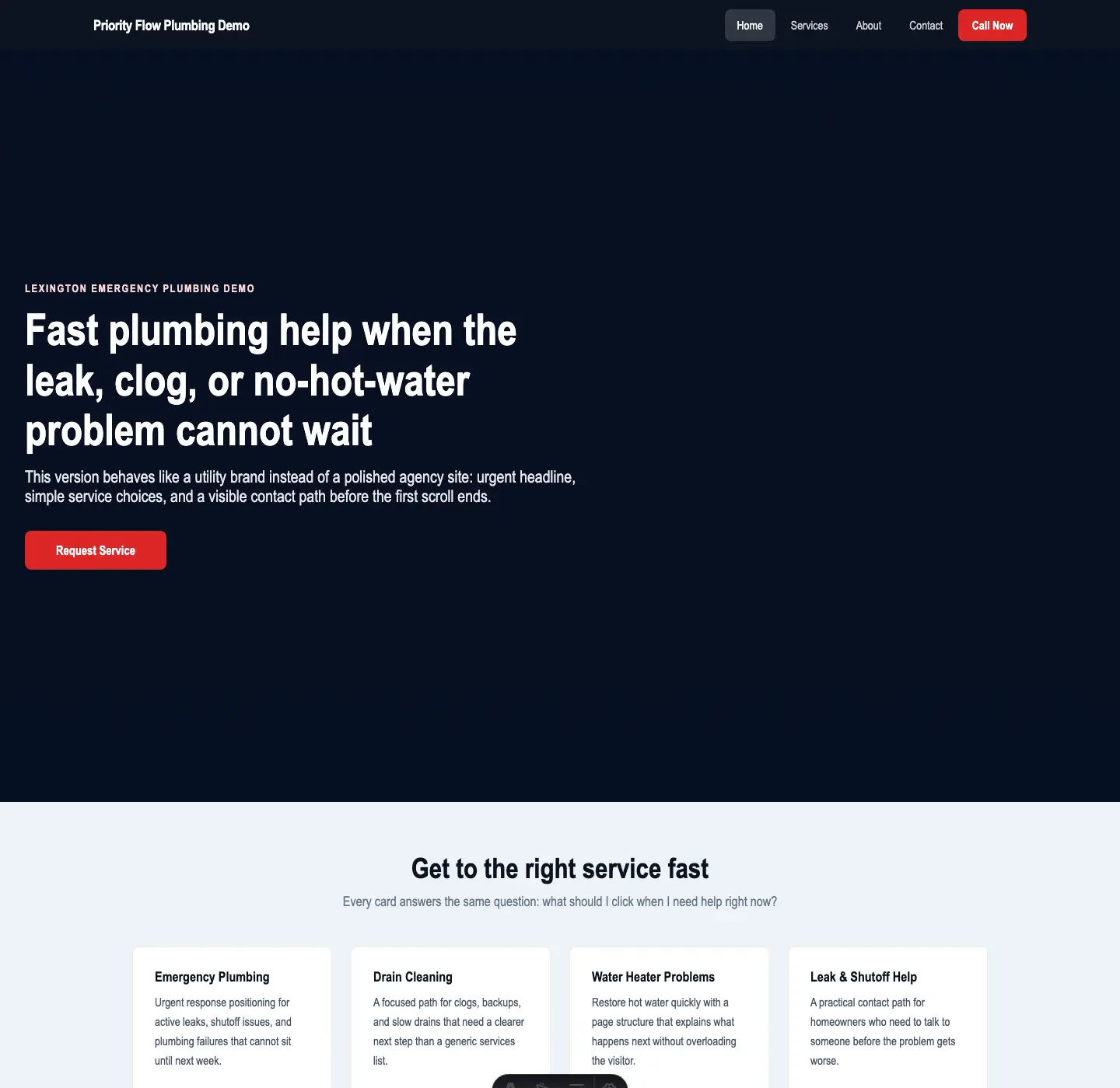 Homepage screenshot of the Lexington plumber demo build